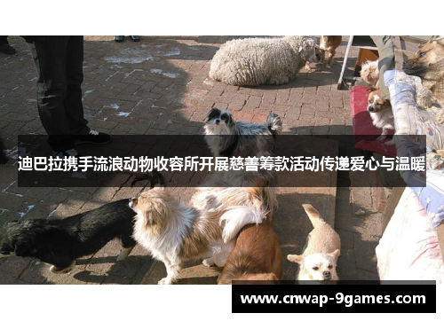 迪巴拉携手流浪动物收容所开展慈善筹款活动传递爱心与温暖 迪巴拉携手流浪动物收容所开展慈善筹款活动传递爱心与温暖