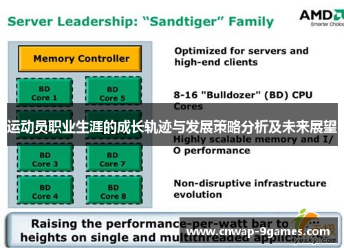 运动员职业生涯的成长轨迹与发展策略分析及未来展望